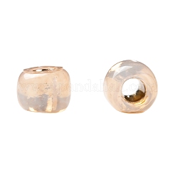 Toho 11/0 runde Perlen&nbsp;X-SEED-TR11-PF2111