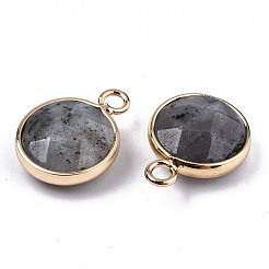 Ciondoli gemstone&nbsp;G-T131-101