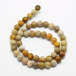 Fossiles naturelle perles de corail brins&nbsp;G-K194-4mm-05