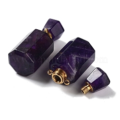 Pendentifs de bouteille de parfum améthyste naturelle&nbsp;G-A026-16B-02
