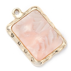 Colgantes de la resina&nbsp;LS-FIND-XCP0001-04