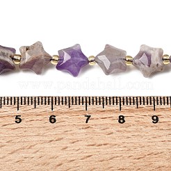 Natürlichen Amethyst Perlen Stränge&nbsp;G-Z080-A34-10mm