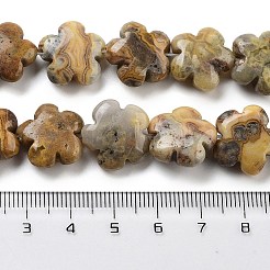 Natur verrückt Achat Perlen Stränge&nbsp;G-F769-M01-01