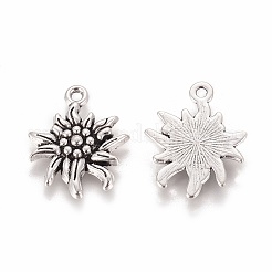 Tibetischer stil Aluminium Anhänger & Charms&nbsp;LS-TIBEP-A113357-AS-LF