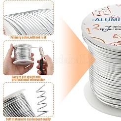 Alambre de aluminio redondo&nbsp;AW-YW0001-2mm-06A