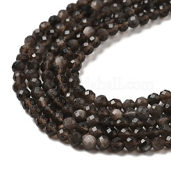 Fili di perline di ossidiana lucentezza argento naturale&nbsp;G-E608-A02-B