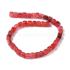 Natur Drachen Venen Achat Perlen Stränge&nbsp;G-G177-E09-05