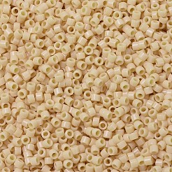 Miyuki Delica Perlen&nbsp;X-SEED-J020-DB1131