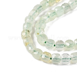 Perline Prehnite naturale fili&nbsp;G-N342-125