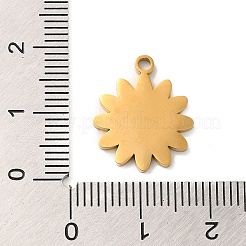 Ionenplattierung (IP) 304 Edelstahl Emaille Anhänger&nbsp;X-STAS-Q301-09G