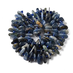 Natürliche kyanite Perlen Stränge&nbsp;G-J403-01