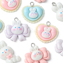 10pcs 5 styles de pendentifs en résine opaque&nbsp;RESI-FS0001-53