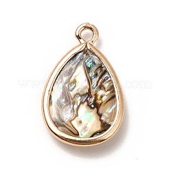 Pendentifs d'émail en laiton &nbsp;KK-K252-10G-07