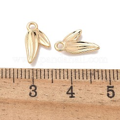 Messing Anhänger & Charms&nbsp;KK-A244-06B-G