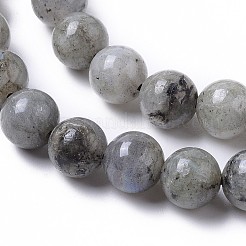 Natur Labradorit Perlen Stränge&nbsp;G-I261-D02-8mm