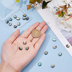 20 Stück Abalone-Muschel/Paua-Muschelperlen&nbsp;SSHEL-FI0001-03