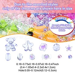 120 Stück 12 Stile gemischte Acrylperlen&nbsp;MACR-YW0003-05A