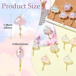 15 pièce en acrylique transparent 5 couleurs avec pendentifs en laiton&nbsp;PALLOY-CJ00191