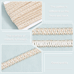 Bordure en dentelle tressée en polyester&nbsp;OCOR-WH0078-09D
