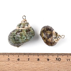 Ciondoli in conchiglia naturale galvanizzati&nbsp;SSHEL-T018-02