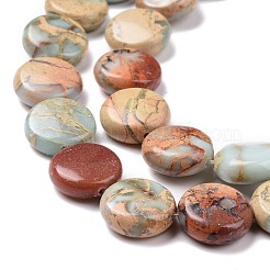 Natürliche Aqua Terra Jaspis Perlen Stränge&nbsp;G-E572-02