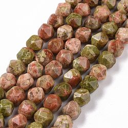 Chapelets de perles en unakite naturelle, facette, polygone, 8x7.5x7.5mm, Trou: 1.2mm, Environ 49 pcs/chapelet, 14.57 pouce (37 cm)