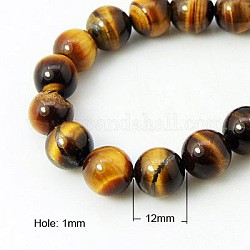 Chapelets de perles d'œil de tigre naturel, ronde, verge d'or, 12mm, Trou: 1mm, Environ 16 pcs/chapelet, 7.4 pouce
