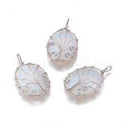 Ciondoli Opalite, con accessori di ottone, ovale con albero, platino, 43.5x26x9mm, Foro: 5.5x4 mm
