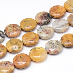 Agate folle ronde plat chapelets de perles, 20x8mm, Trou: 1mm, Environ 20 pcs/chapelet, 15.7 pouce