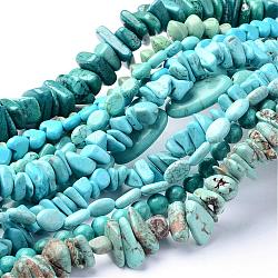 Brins de perles de magnésite naturelle, teints et chauffée, formes mixtes, turquoise foncé, 5~30x9~15x4~9mm, Trou: 1mm, Environ 40~101 pcs/chapelet, 15.9 pouce
