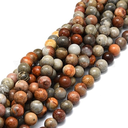 Natural Fossil Coral Beads Strands G-E576-03C-1