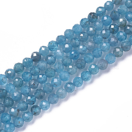 Chapelets de perles en apatite naturelle G-F596-29-3mm-1