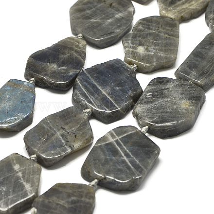 Natural Labradorite Beads Strands G-E401-H06-1