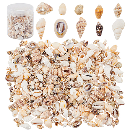 Kit perline di conchiglie naturali&nbsp;SSHEL-PH0002-51-1