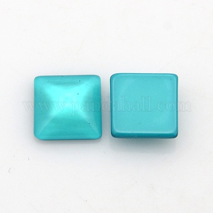Resin Cabochons CRES-R067-24-1
