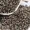 Glass Seed Beads, Silver Lined, Cylinder, Camel, 2.5x1.6mm, Hole: 1mm, about 1310pcs/10g