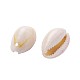 Perline di conchiglie di ciprea naturale fashewelry BSHE-TA0001-01-3