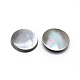 Cabochons en coquille BSHE-E567-01-15mm-1