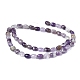 Natural Amethyst Beads Strands G-Z006-A16-3