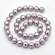 Round Shell Pearl Bead Strands BSHE-M009-10mm-08-2