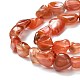 Natural Red Agate Beads Strands G-K203-16-5