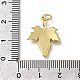 Pendentifs en laiton&nbsp;ZIRC-I070-074G-3