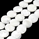 Fili di perle di conchiglia trochid naturale / trochus SSHEL-R145-03-1