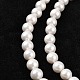 Chapelets de perles en coquille BSHE-R146-6mm-02-2