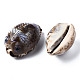 Bedruckte natürliche Kaurimuschel Perlen SSHEL-Q314-002-3