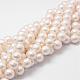 Chapelets de perles en coquille BSHE-L029-01-10mm-1