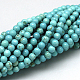 Natural Magnesite Beads Strands TURQ-G103-6mm-01-4