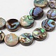 Natural Abalone Shell/Paua Shell Beads Strands X-SHS014-3