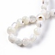 Fili di perle di conchiglia trochid naturale / trochus SSHEL-N032-48-B01-4