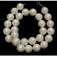 Shell Pearl Beads Strands SP034-10mm-2